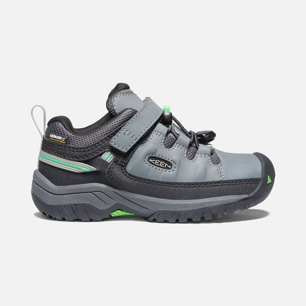 Zapatos de Seguridad Keen Mexico Grises/Verdes - Niños Targhee Waterproof - VU6974513